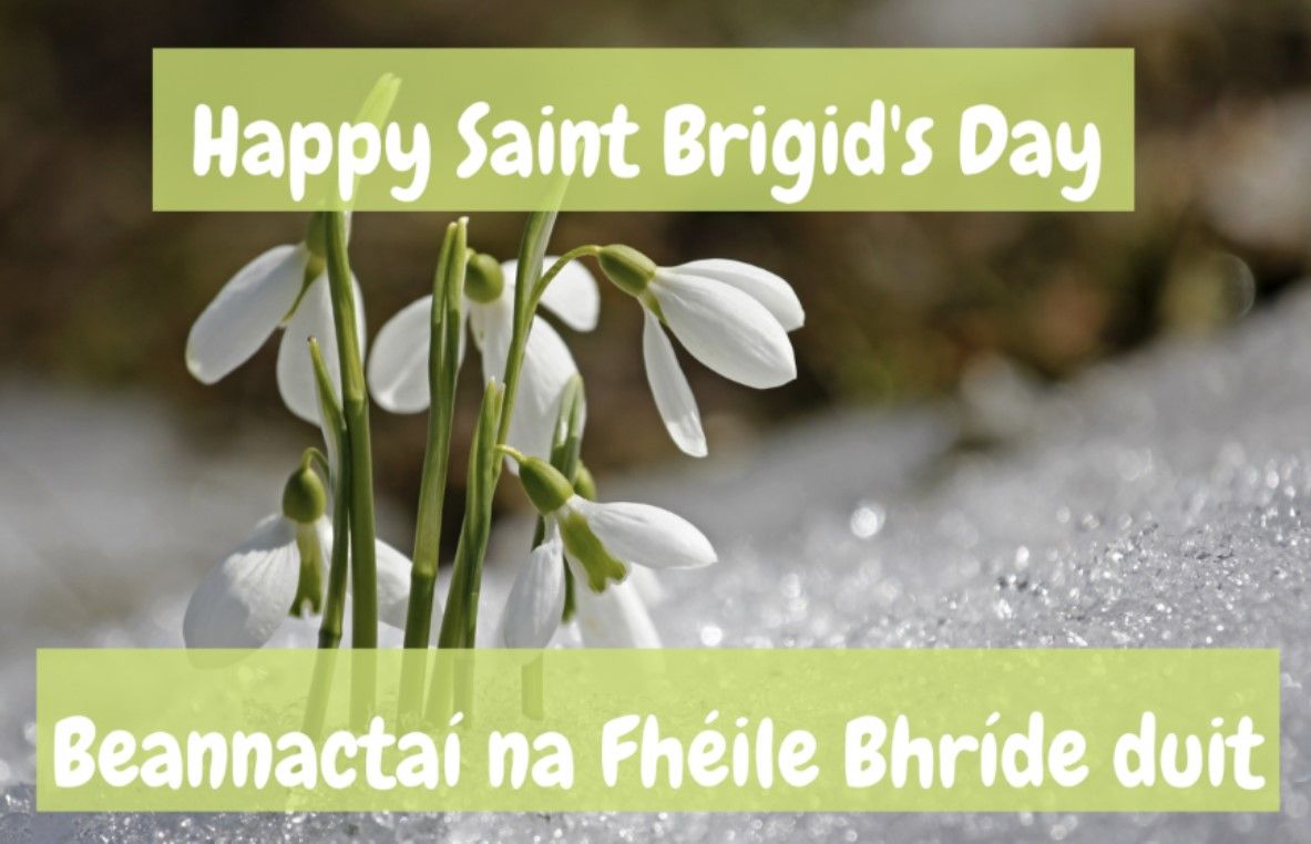 St. Brigid's National Holiday Portlaoise Parish